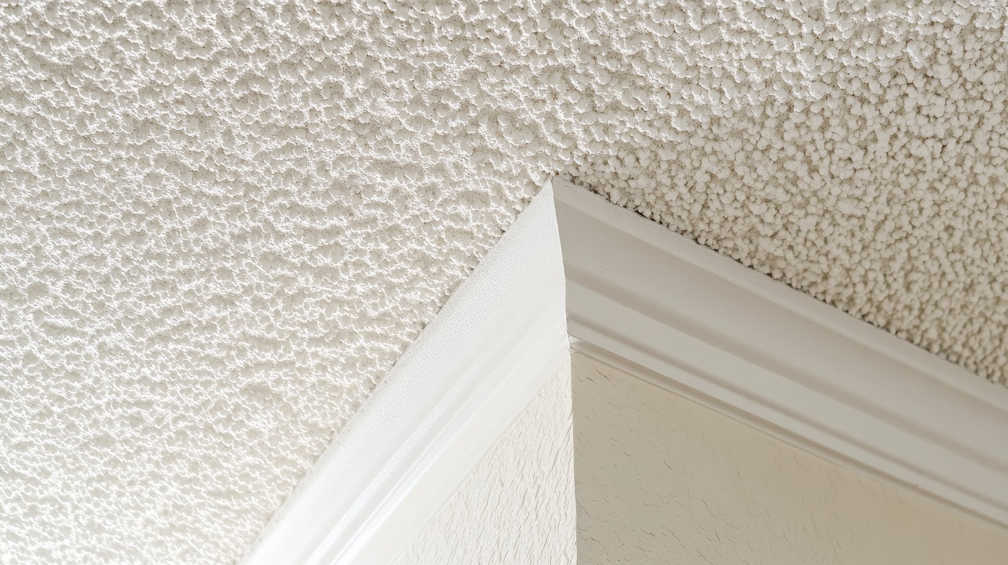Textured ceiling removal